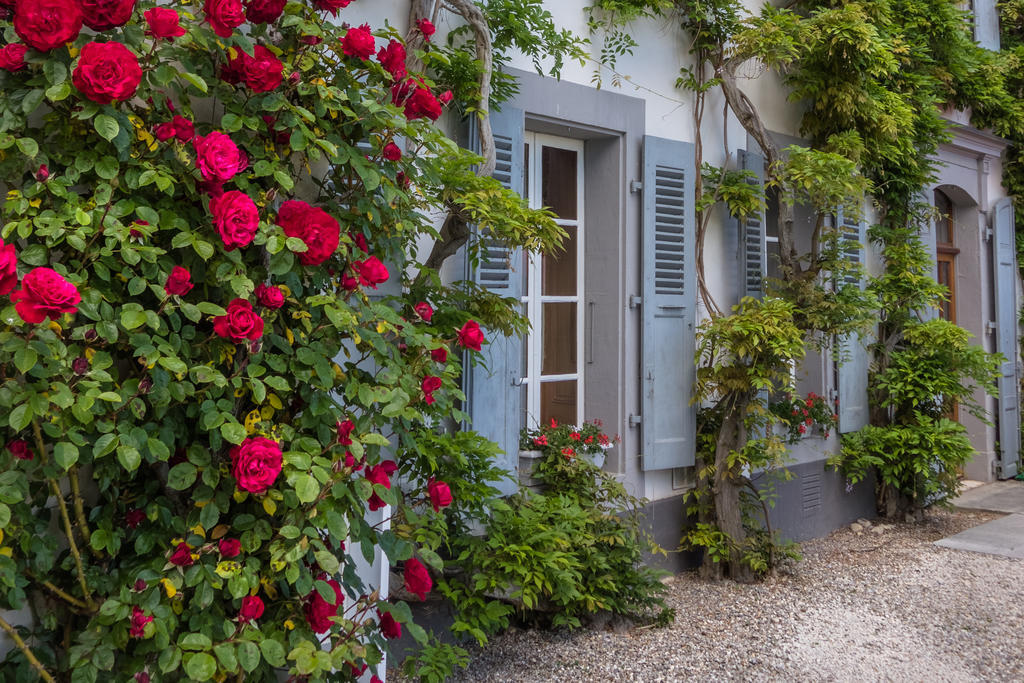Chateau De Bossey Bogis-Bossey Εξωτερικό φωτογραφία