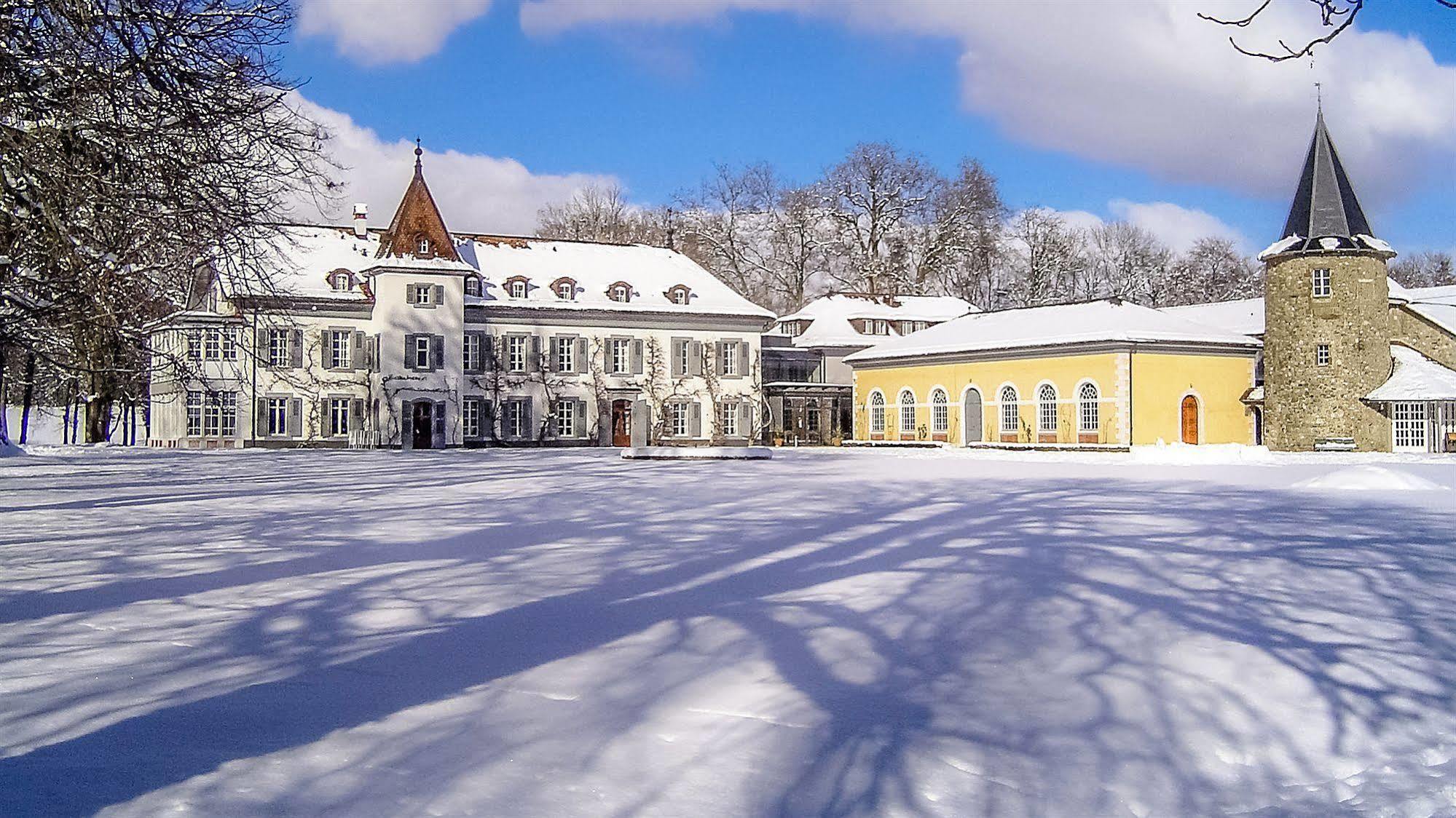 Chateau De Bossey Bogis-Bossey Εξωτερικό φωτογραφία
